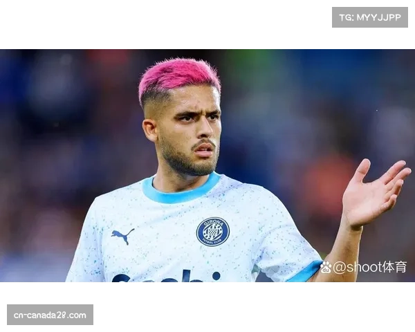 多特边卫扬库托未知伤情 开始日期为二月七日 多特边卫扬库托未知伤情 开始日期为二月七日